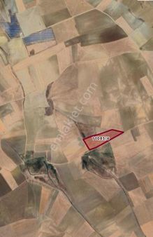 • Levent Emlak • Keskin' De Satılık Tarla