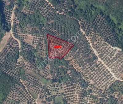 Rt Yılmaz Gayrimenkul'den Sahilyenice Satılık Tarla