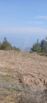 Emlak Dünyası Karacasu Şubesi Portföyde