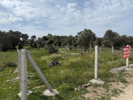 Menderes Dere Köy'de Hisse Tapu Satılık Meşe Emlak'tan