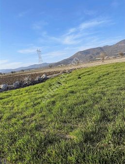 Çomaklı'nın En Uygun Tarla'sı