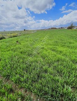 Yeşilyayla Yatırımlık Tarla