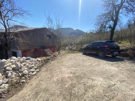 Safir Emlak'tan Alembey'de 11.365m2 Satılık Fındık Bahçesi