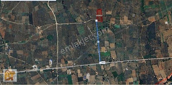 Baytürk Gayrimenkul'den Orhangazi Yeniköy'de 9319 M2 Zeytinlik