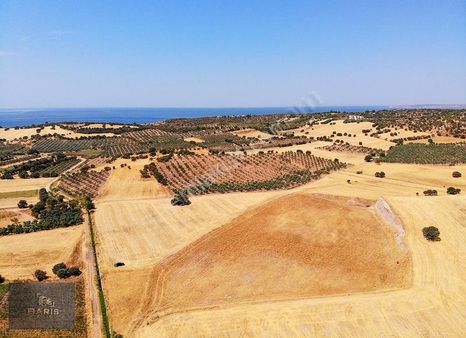 Çanakkale Ezine Uluköy'de Satılık Tarla