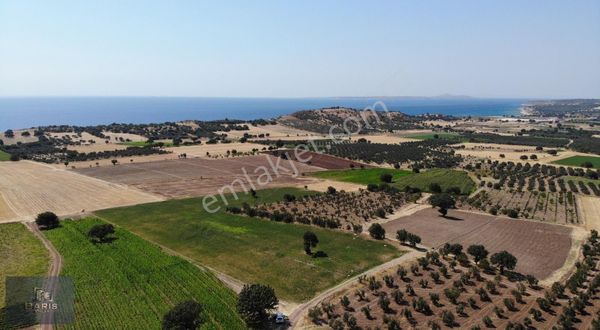 Çanakkale Ezine Alemşah'ta Full Deniz Manzaralı Fırsat Arazi