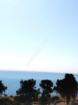 Tece Deniz Mah'de Oturuma Hazır, Sıfır 1+1 D.gazlı Satılık Daire