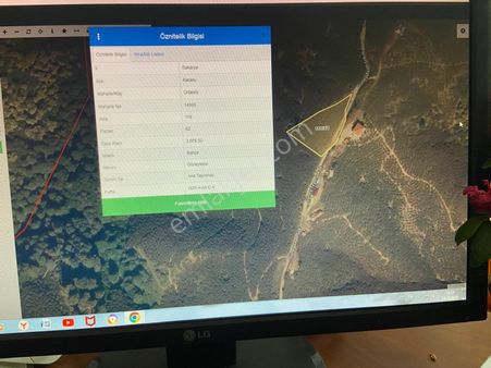 Karasu Ortaköy Yenidağ'da 3.100 M2 Bahçe Satılık