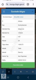 Kızılcahamam Çeltikçi Başörende Kupon Tarla