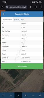 Sulama Kanalına Bitişik 13 Dönüm Dümdüz Verimli Sulak Tarla