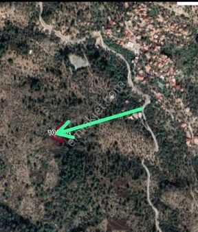 Muğla Milas Kargıcak Mevkisinde Satılık Zeytinli Tarla