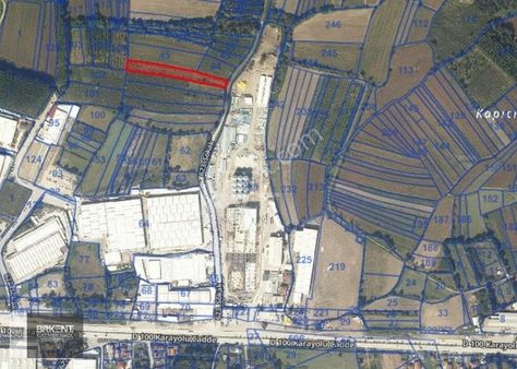 Birken'ten Çilimli Topçularda Satılık D-100e Yakın Satılık Tarla