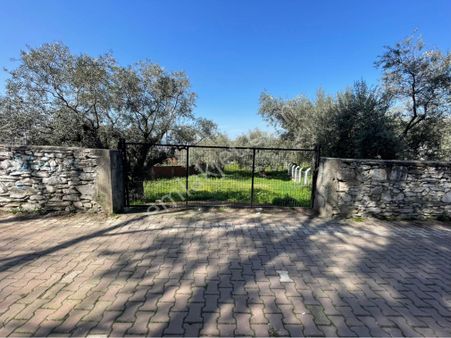 Kemalpaşa Sarılar Köyünde Villa İmarlı Arsa