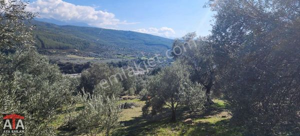 Sarıyer'de Yolu Mevcut Müstakil Parsel 6.500 M2 Arazi