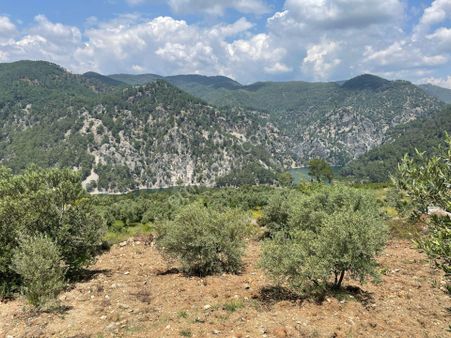 Dalaman, Bozbel Baraj Tarafında 500m2