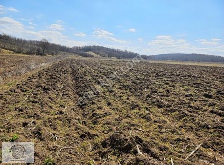 Yön Gayrimenkulden Yatırımlık Tarla