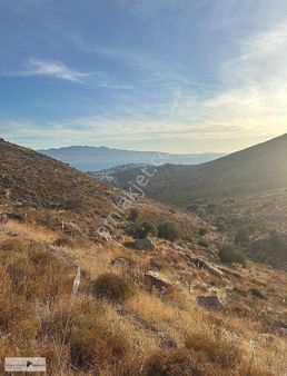 Akyarlarda Deniz Manzaralı Tarla Nitelikli Yatırım Fırsatı Arazi