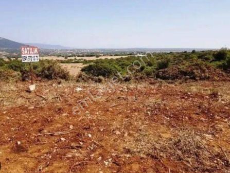 Discovery Dinar Gayrimenkul Den