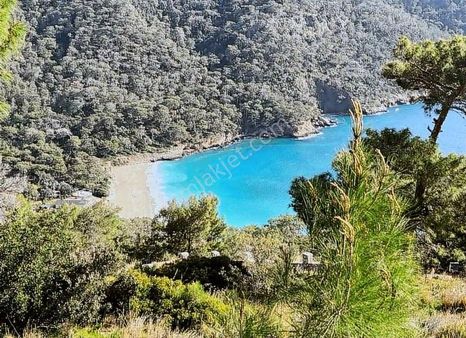 Faralya Kabakta Satılık Tarla