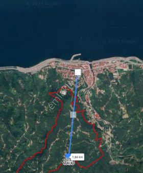 Keşap- Uğurca Mah. 2450 M2 Arsa Niteliğinde Fındık Bahçesi.