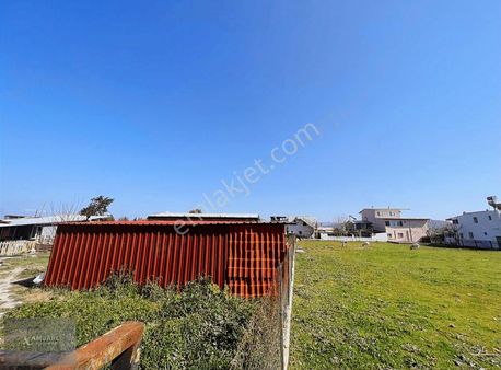 Ambarcı'dan Kum Denizi Yakınında Satılık Tarla