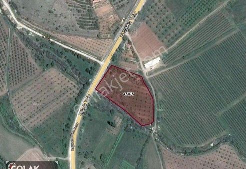 Eğirdir Barla Da Yola Cepheli Yatırımlık Arazi