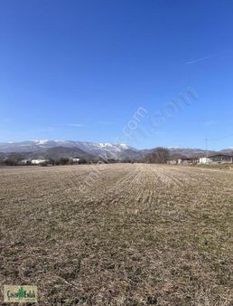 Çınar Emlak'tan Nusratiye Mahallesinde Satılık 5 Adet Arazi