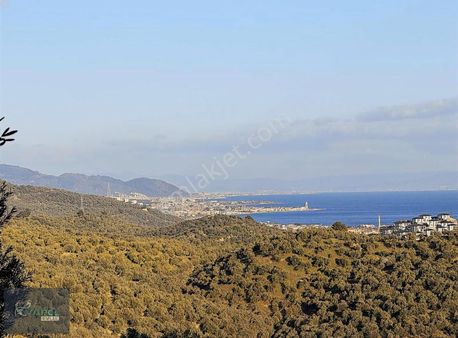 Harika Deniz Ve Doğa Manzaralı Asfalt Yola Cepheli Zeytinlik