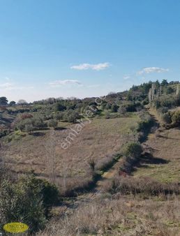 Köy Kenarında Tarla