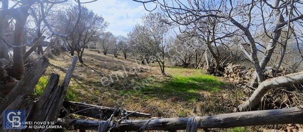 Selda Kozalı'dan Denizova Mah İmarlı Tarla
