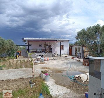 Kemalpaşa Armutlu 5 Dönüme Yakın Bağ Ve Evi 2+1 100 M2