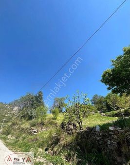 Muğla Elmalida Yolu Olan Tek Tapu Tarla