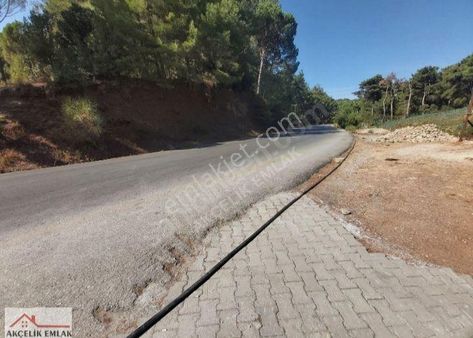 Aydın Koçarlı Birci Mah. Satılık Tarla