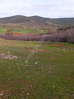 Erkuş Gyodan Bekilli Desdemir Fırsat Arazi