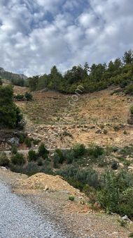 Antalya Gazipaşa Yenıguney Yola Sıfır Tarla Satılık!