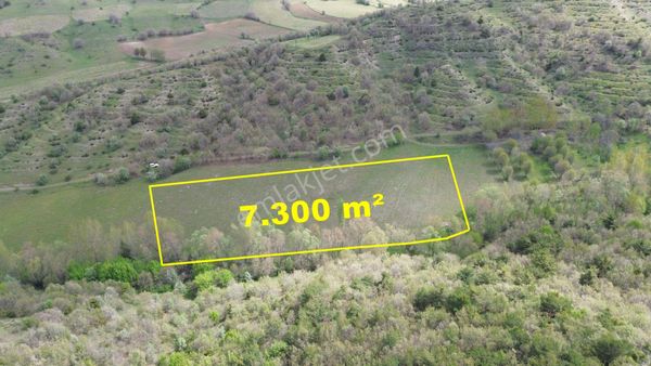 7300 M² Tarla / Tokat / Artova / Ağmusa Mah