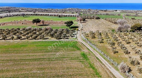 Çanakkale Ayvacık Kösedere Satılık Tarla