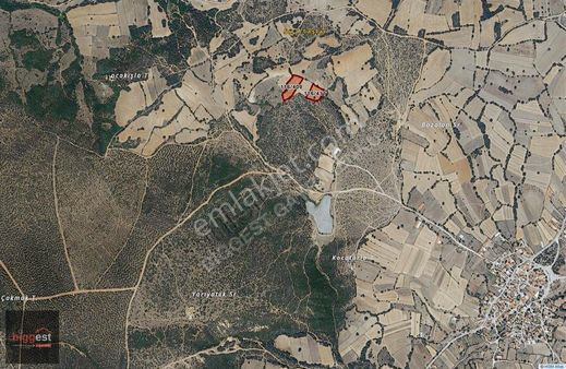 Balıkesir Altıeylül Dallımandıra'da Yatırımlık 7117 M2 Tarla