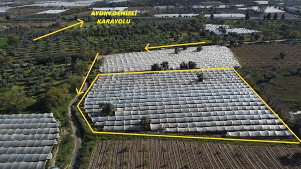 ✅✅ !!acilll!! Sultanhisar-yenipazar Yolu Kavşağında Satılık Bahçe ✅✅