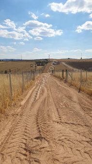 Yuva Mah Satılık Hobi Bahçesi Elektrik Su Aktif