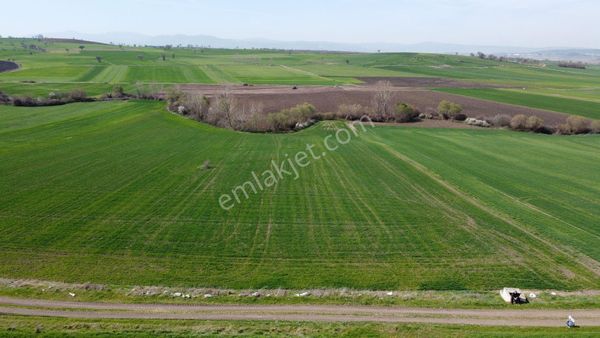 Gönen Asmadere Mahallesin'de 21 Dönüm Satılık Tarla