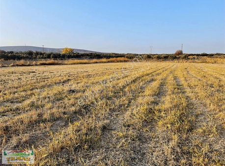 Menemen Türkellıde Asfalt Yola Sıfır 655m2 Tarla....
