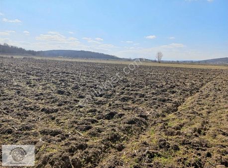 Yön Gayrimenkulden Yatırımlık Tarla