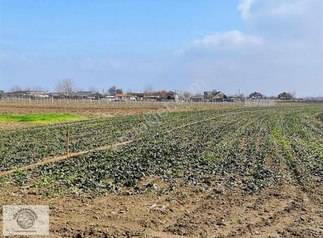 Yatırımlık Satılık Tarla