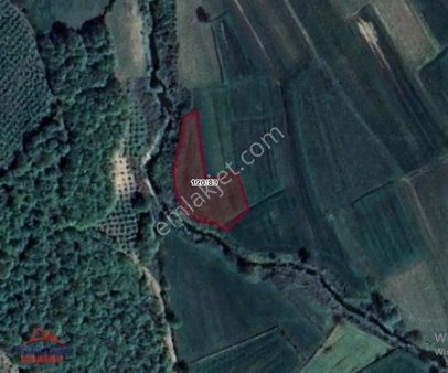 Kandıra Bollu Mahallesinde Yatırımlık Satılık Arazi