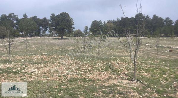 Acıpayam Eskiköyde, İçerisinde Ceviz Dikili 20.270 M2 Tarla...