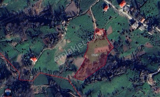 Rize Ardeşen Müftü Mahallesinde 7156 M2 Çay Bahçesi Ve Ev