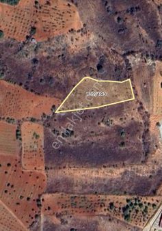 Uşak Karahallı Delihıdırlı’da Doğanın Ve Huzurun Buluştuğu Satılık Tarla