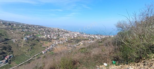 Kamer'den Akçaabat Sarıtaş'da Satılık İmarlı Arsalar