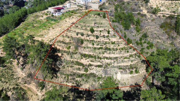 Satılık 4050 M2 Tarla